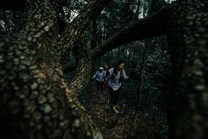 BIB: 
                            <button type="button" onclick="openModal(25689713)" class="btn btn-primary btn-sm float-right btn-popup" data-toggle="modal" data-target=".modal-high-quality">
                        <i class="fas fa-shopping-cart"></i> Add to Cart
                    </button>
                                            <button type="button" onclick="isThisMe(25689713, true)" class="btn btn-success btn-sm float-right btn-popup btn-isme hidden" data-toggle="tooltip" data-placement="bottom" title="นี่คือรูปของคุณใช่ไหม คลิกที่นี่เพื่อเอาเข้าอัลบั้ม">
                        <i class="fas fa-plus"></i> Add to album
                    </button>
                    <button type="button" onclick="isThisMe(25689713, false)" class="btn btn-warning btn-sm float-right btn-popup btn-isnotme hidden">
                        <i class="fas fa-ban"></i> Remove from album
                    </button>